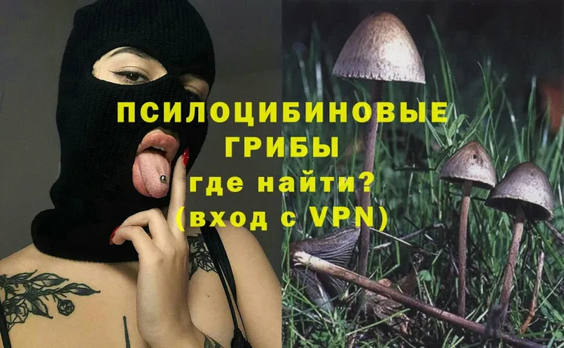 Галлюциногенные грибы Magic Shrooms  blacksprut зеркало  Серов 