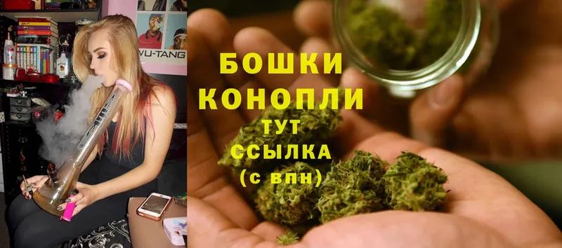 Конопля OG Kush  Серов 